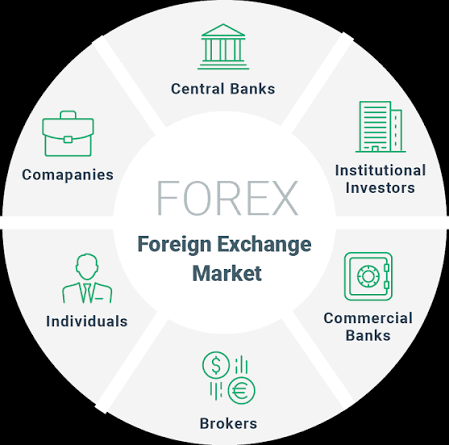 Forex Market Participants